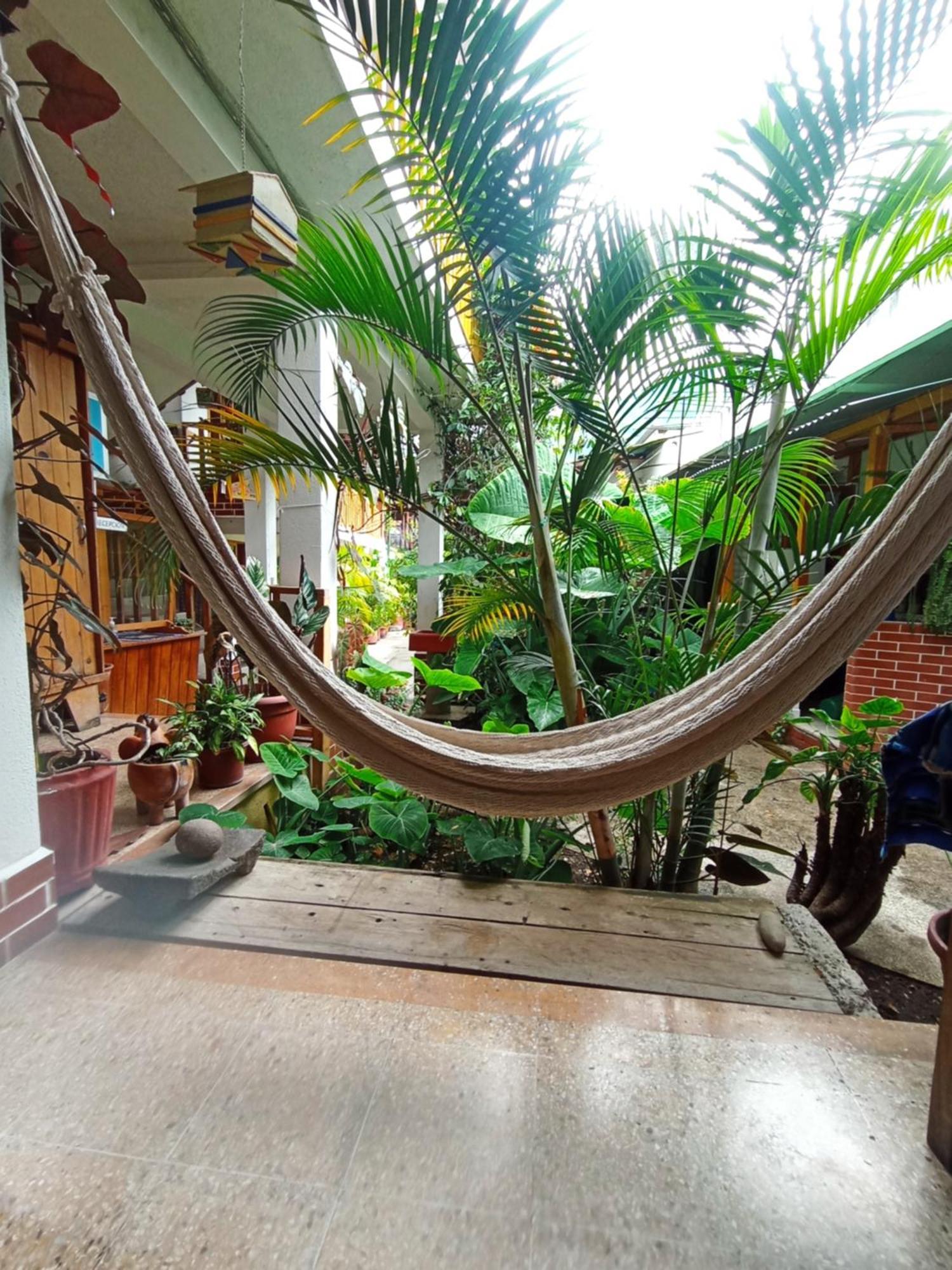 Hostal Mario'S Rooms باناخاتشيل المظهر الخارجي الصورة